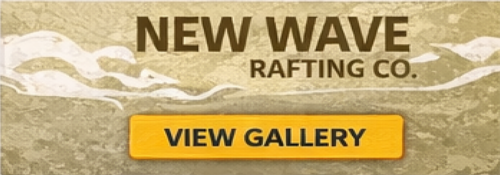 Newwave-cover-Parent