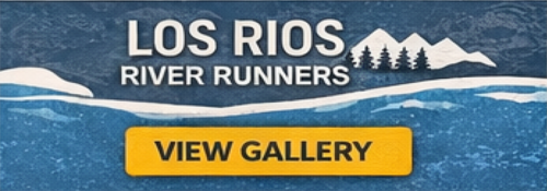 Screenshot-2026-02-12-at-4.23.16-PM-1