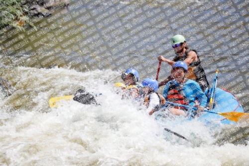 RAFTPICS_000001JUNE19_NEWWAVE_Racecourse-AM_TC_Orlando_MG_9536