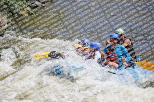 RAFTPICS_000002JUNE19_NEWWAVE_Racecourse-AM_TC_Orlando_MG_9537