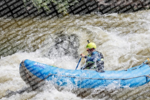 RAFTPICS_000020JUNE19_NEWWAVE_Racecourse-AM_TC_Orlando_MG_9555