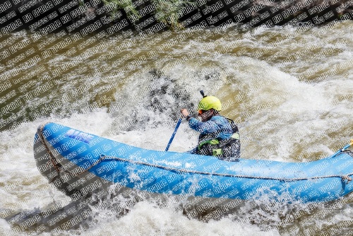 RAFTPICS_000021JUNE19_NEWWAVE_Racecourse-AM_TC_Orlando_MG_9556