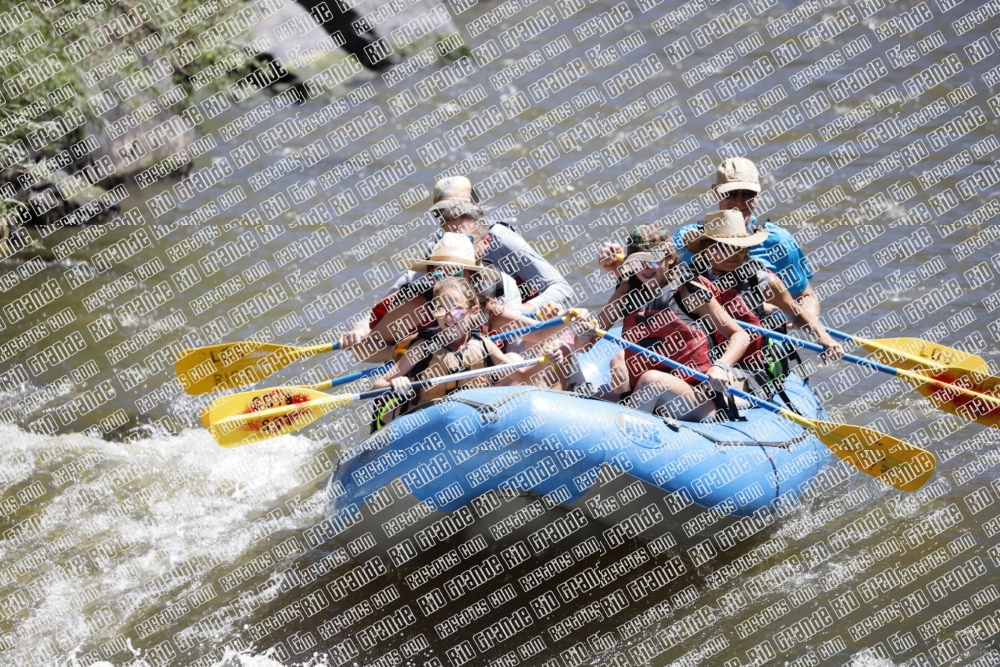 RAFTPICS_000055JUNE19_LOS-RIOS_Racecourse-AM_TC_Leslie_MG_9582