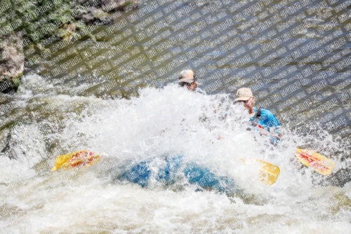 RAFTPICS_000056JUNE19_LOS-RIOS_Racecourse-AM_TC_Leslie_MG_9583