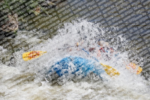 RAFTPICS_000057JUNE19_LOS-RIOS_Racecourse-AM_TC_Leslie_MG_9584