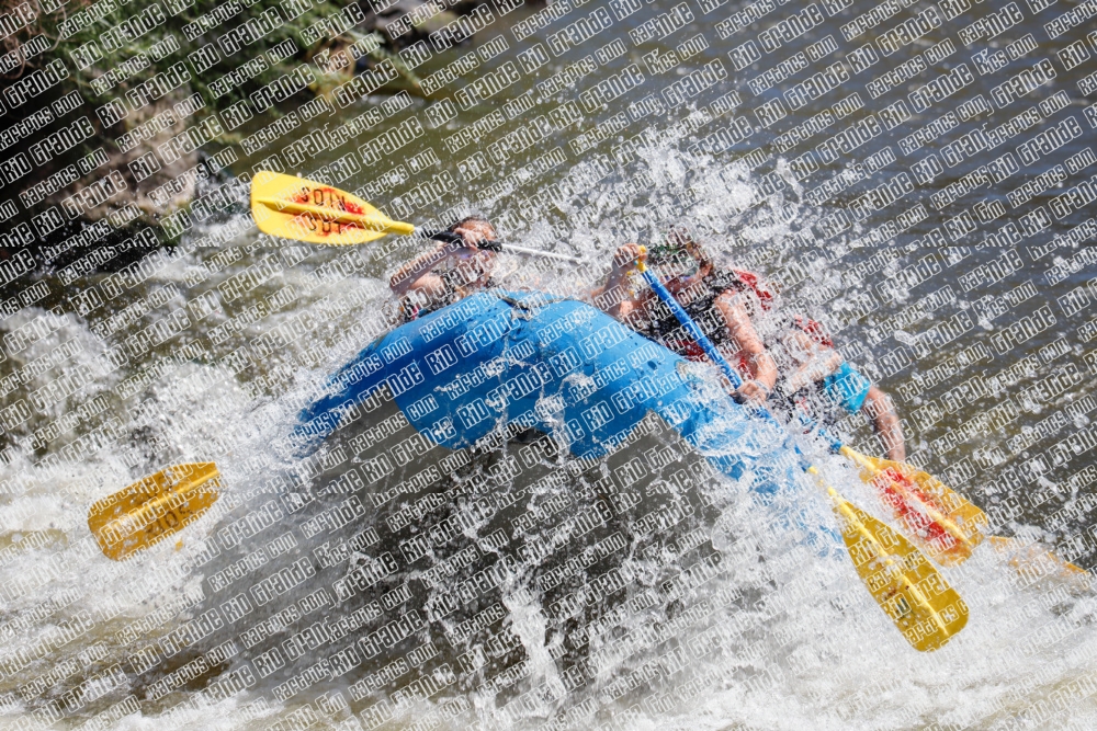 RAFTPICS_000058JUNE19_LOS-RIOS_Racecourse-AM_TC_Leslie_MG_9585