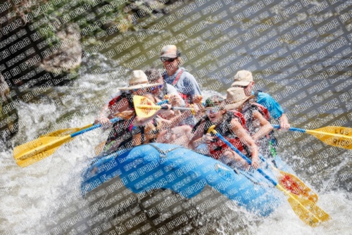 RAFTPICS_000060JUNE19_LOS-RIOS_Racecourse-AM_TC_Boat-1_MG_9587