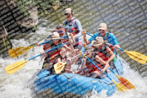 RAFTPICS_000061JUNE19_LOS-RIOS_Racecourse-AM_TC_Boat-1_MG_9588