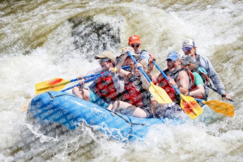 RAFTPICS_000106JUNE19_LOS-RIOS_Racecourse-AM_TC_Mordy-RAFTPICS_000052JUNE19_LOS-RIOS_Racecourse-AM_TC_Boat-1_MG_9579