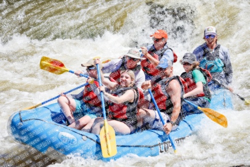 RAFTPICS_000107JUNE19_LOS-RIOS_Racecourse-AM_TC_Mordy-RAFTPICS_000053JUNE19_LOS-RIOS_Racecourse-AM_TC_Boat-1_MG_9580