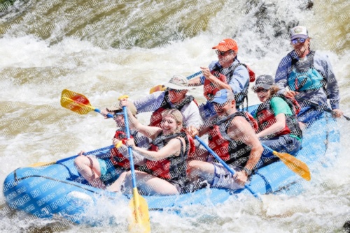 RAFTPICS_000108JUNE19_LOS-RIOS_Racecourse-AM_TC_Mordy-RAFTPICS_000054JUNE19_LOS-RIOS_Racecourse-AM_TC_Boat-1_MG_9581