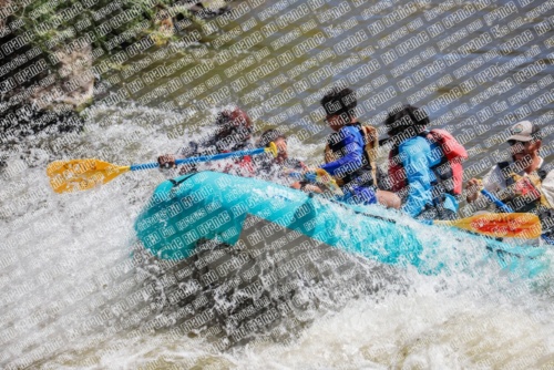 RAFTPICS_000077JUNE19_LOS-RIOS_Racecourse-AM_TC_Boat-1_MG_9604