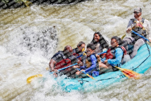 RAFTPICS_000084JUNE19_LOS-RIOS_Racecourse-AM_TC_Boat-1_MG_9611