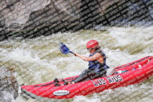 RAFTPICS_000133JUNE19_LOS-RIOS_Racecourse-pm_TC_Funyaks-_MG_9671