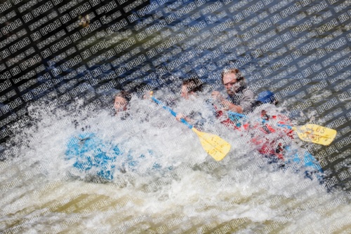 RAFTPICS_000147JUNE19_LOS-RIOS_Racecourse-pm_TC_Abe-_MG_9724