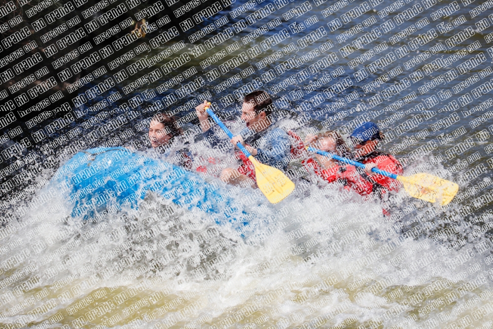 RAFTPICS_000148JUNE19_LOS-RIOS_Racecourse-pm_TC_Abe-_MG_9725