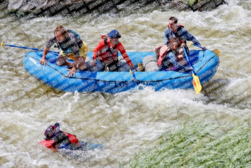 RAFTPICS_000170JUNE19_LOS-RIOS_Racecourse-pm_TC_Abe-_MG_9747