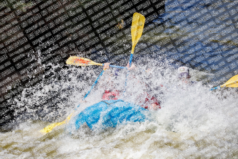 RAFTPICS_000196JUNE19_LOS-RIOS_Racecourse-pm_TC_Mordy-_MG_9677