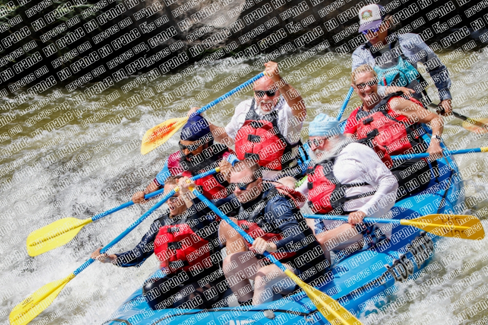 RAFTPICS_000205JUNE19_LOS-RIOS_Racecourse-pm_TC_Mordy-_MG_9686