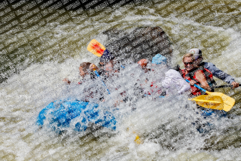 RAFTPICS_000209JUNE19_LOS-RIOS_Racecourse-pm_TC_Mordy-_MG_9690