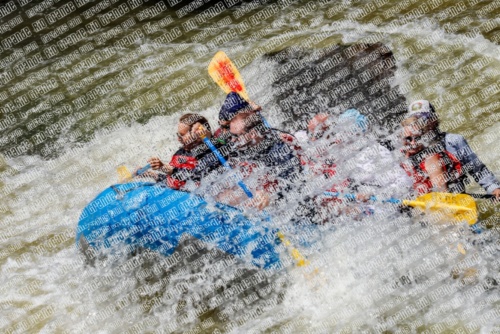 RAFTPICS_000210JUNE19_LOS-RIOS_Racecourse-pm_TC_Mordy-_MG_9691