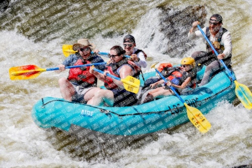 003731_RaftPics_Los-Rios_June-19_Racecourse-PM_TC_Boat-5__MG_9760