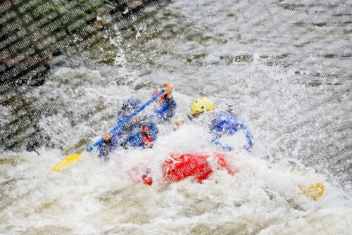 000204June-21_LOS-RIOS_RAFT-Pics_Racecourse-AM_TC__MG_0238