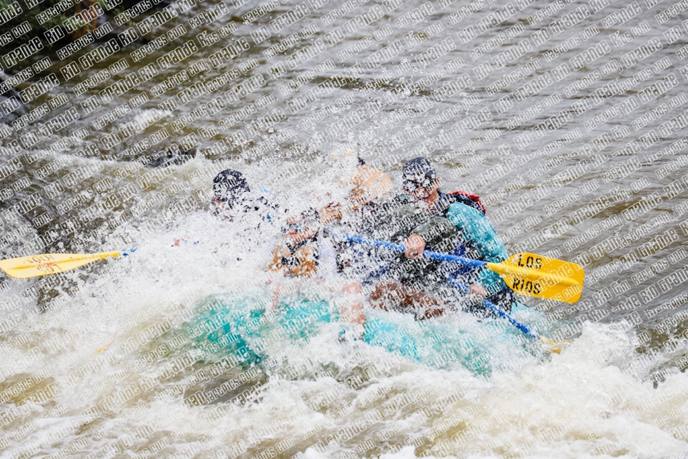 000166June-21_LOS-RIOS_RAFT-Pics_Racecourse-AM_TC__MG_0200