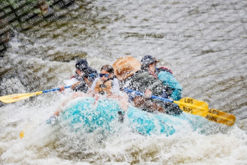 000167June-21_LOS-RIOS_RAFT-Pics_Racecourse-AM_TC__MG_0201