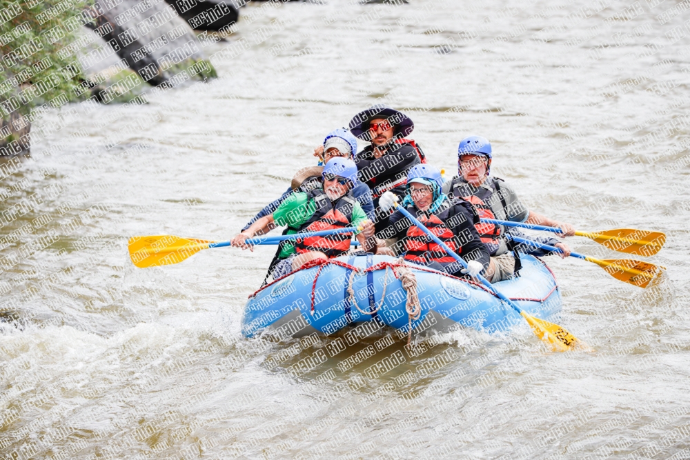 000249June-21_NEW-WAVE_RAFT-Pics_Racecourse-AM_TC__MG_0116