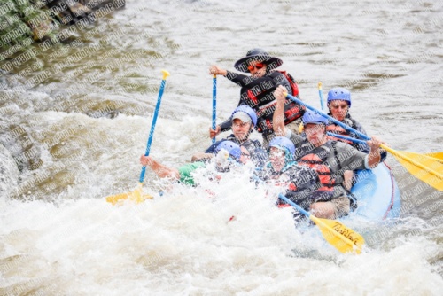 000250June-21_NEW-WAVE_RAFT-Pics_Racecourse-AM_TC__MG_0117