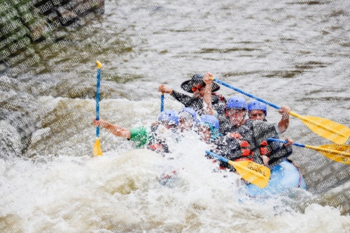 000251June-21_NEW-WAVE_RAFT-Pics_Racecourse-AM_TC__MG_0118