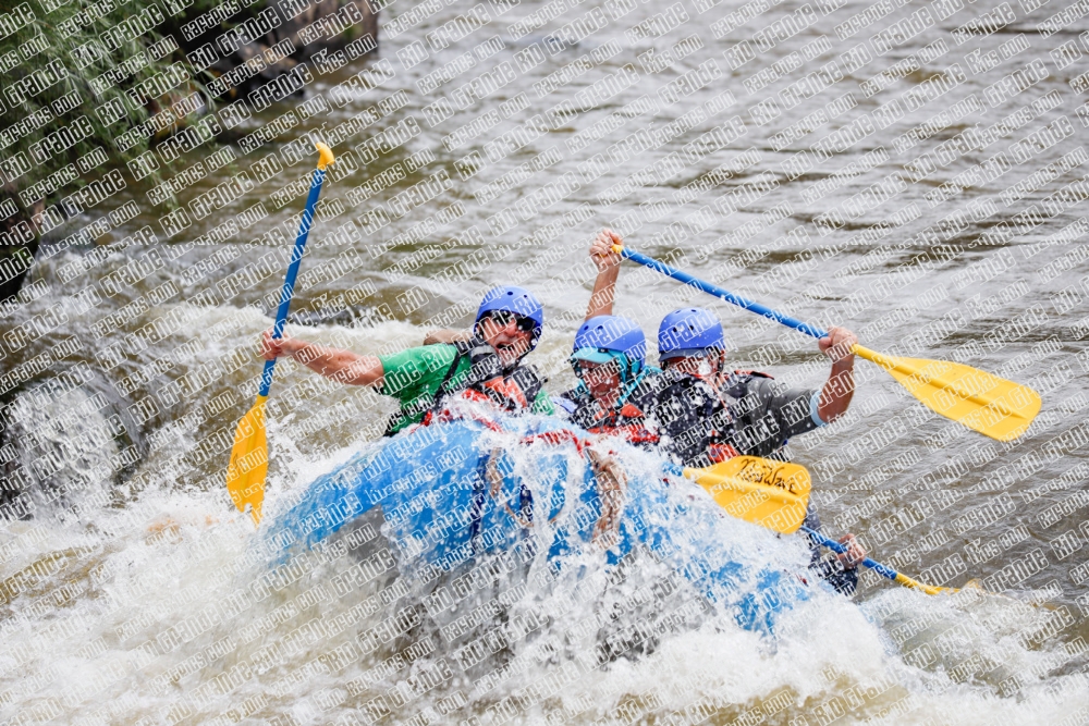 000252June-21_NEW-WAVE_RAFT-Pics_Racecourse-AM_TC__MG_0119