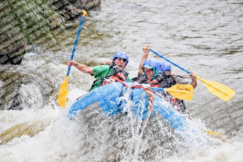 000253June-21_NEW-WAVE_RAFT-Pics_Racecourse-AM_TC__MG_0120