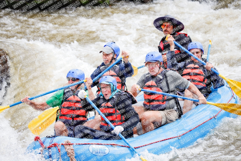 000258June-21_NEW-WAVE_RAFT-Pics_Racecourse-AM_TC__MG_0125