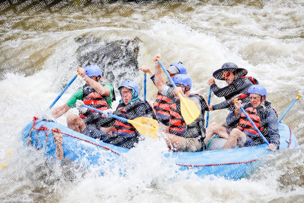 000262June-21_NEW-WAVE_RAFT-Pics_Racecourse-AM_TC__MG_0129