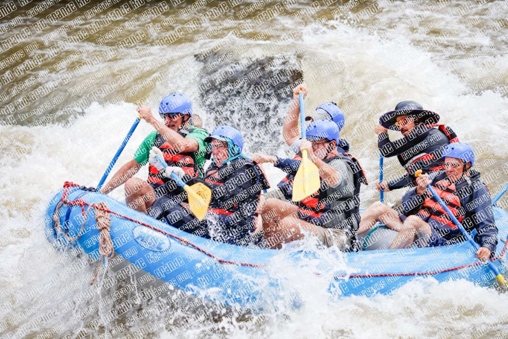 000263June-21_NEW-WAVE_RAFT-Pics_Racecourse-AM_TC__MG_0130