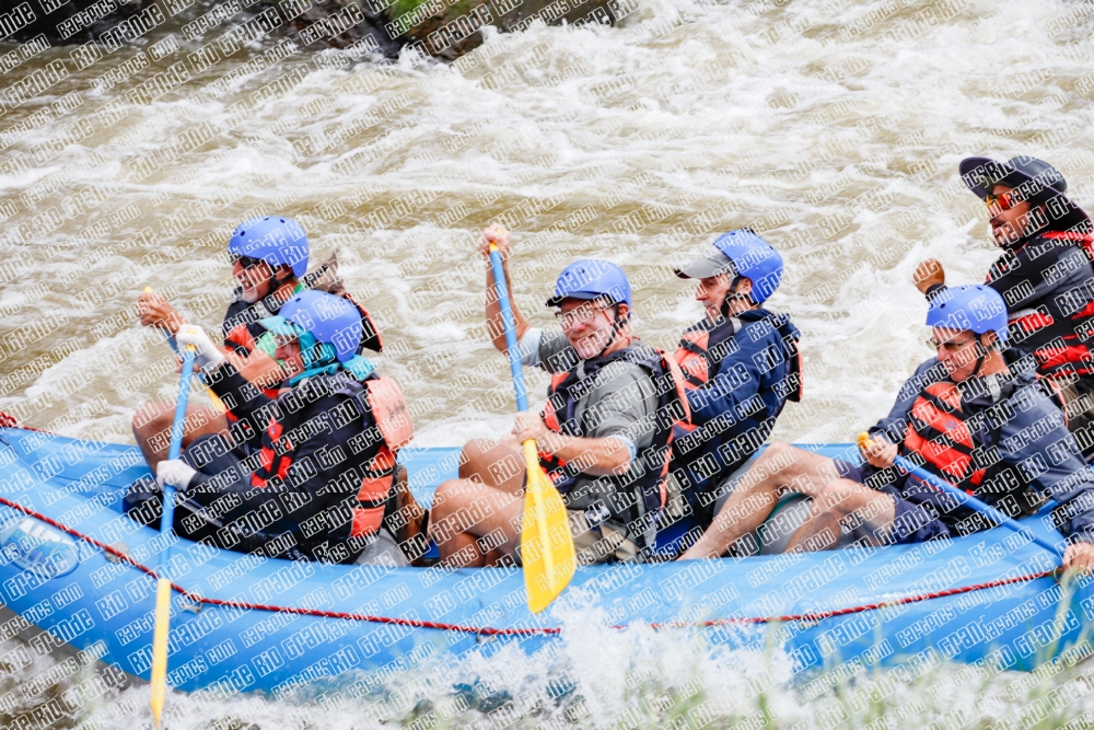 000264June-21_NEW-WAVE_RAFT-Pics_Racecourse-AM_TC__MG_0131