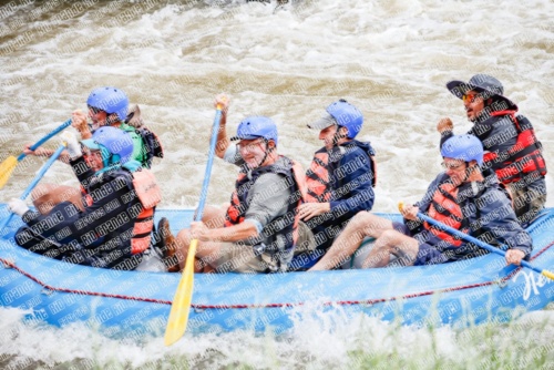 000265June-21_NEW-WAVE_RAFT-Pics_Racecourse-AM_TC__MG_0132