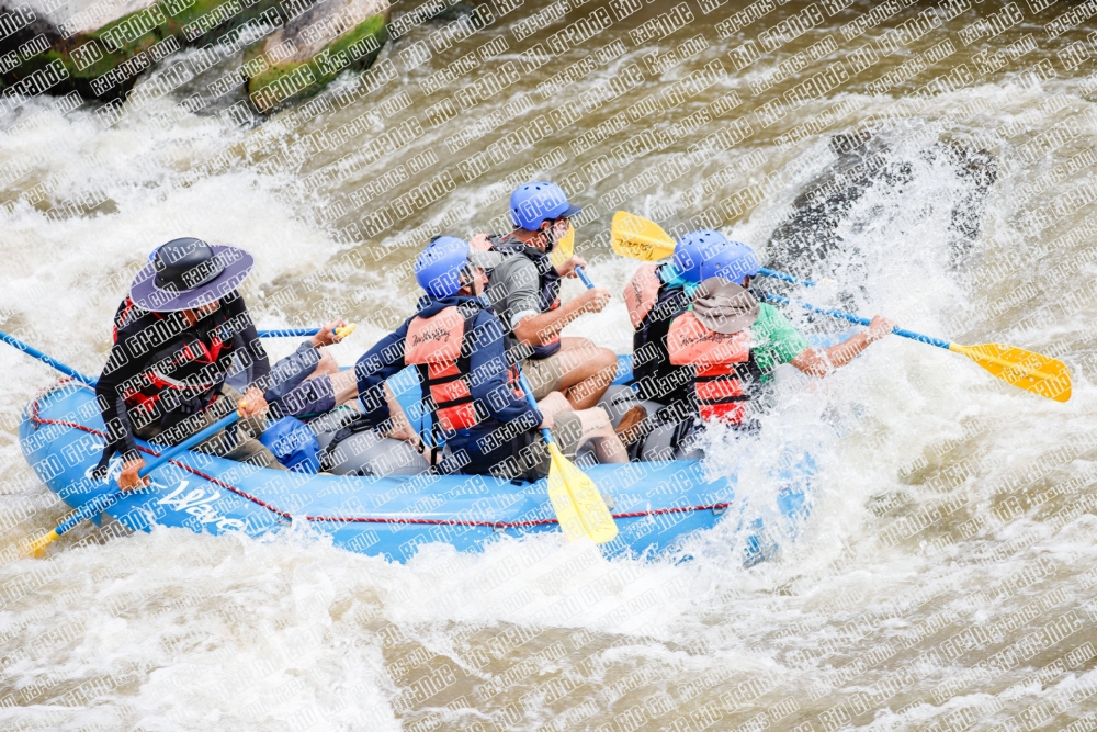 000270June-21_NEW-WAVE_RAFT-Pics_Racecourse-AM_TC__MG_0137