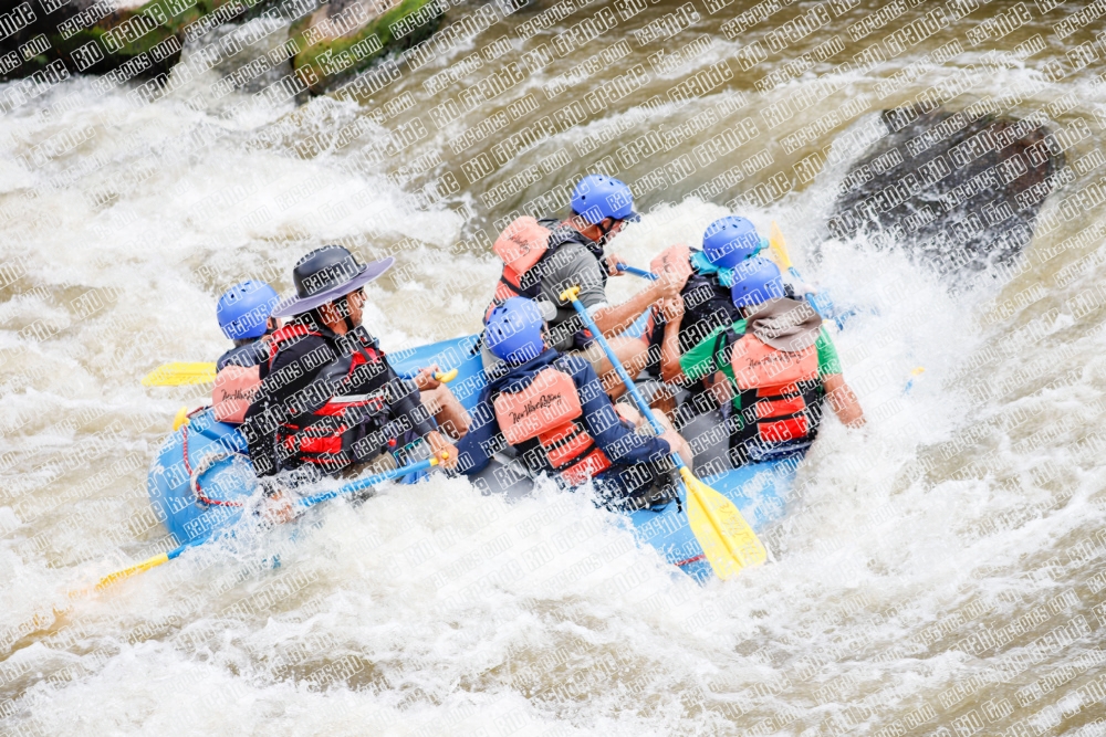 000272June-21_NEW-WAVE_RAFT-Pics_Racecourse-AM_TC__MG_0139