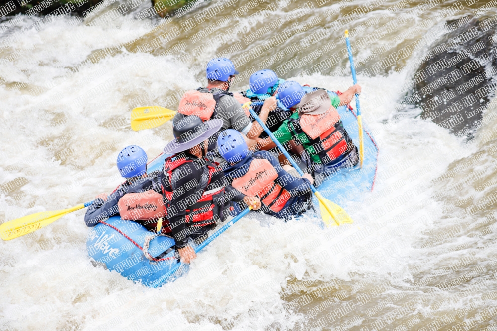 000274June-21_NEW-WAVE_RAFT-Pics_Racecourse-AM_TC__MG_0141