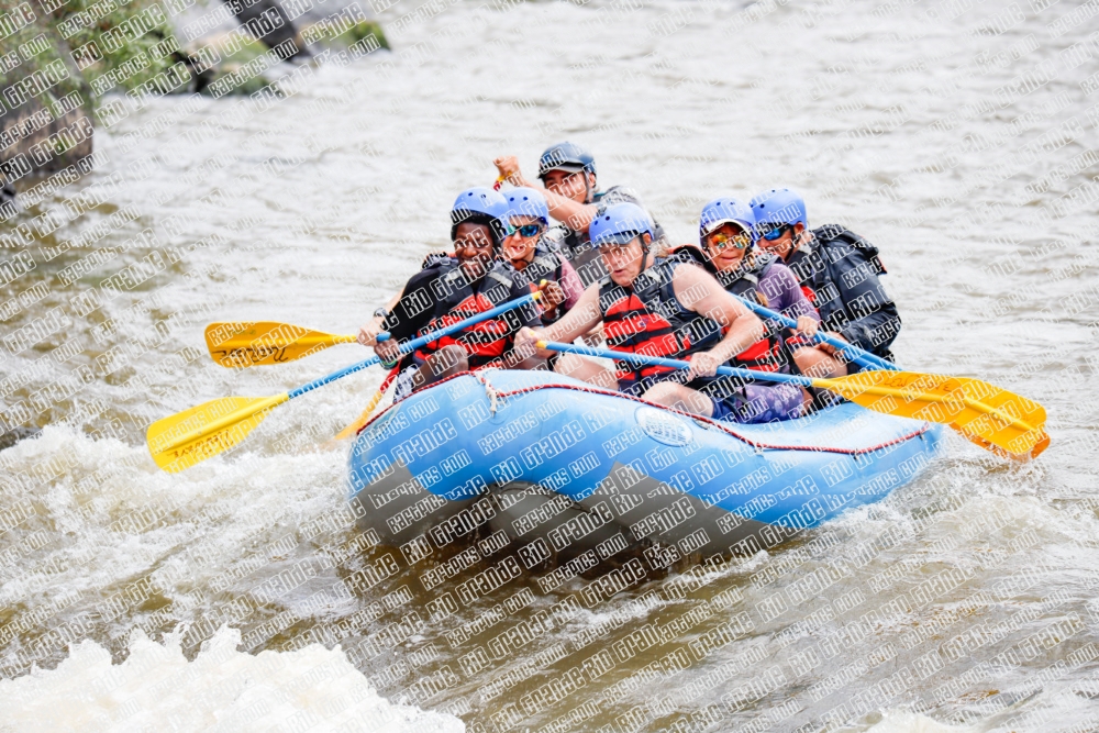 000231June-21_NEW-WAVE_RAFT-Pics_Racecourse-AM_TC__MG_0098