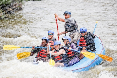 000232June-21_NEW-WAVE_RAFT-Pics_Racecourse-AM_TC__MG_0099