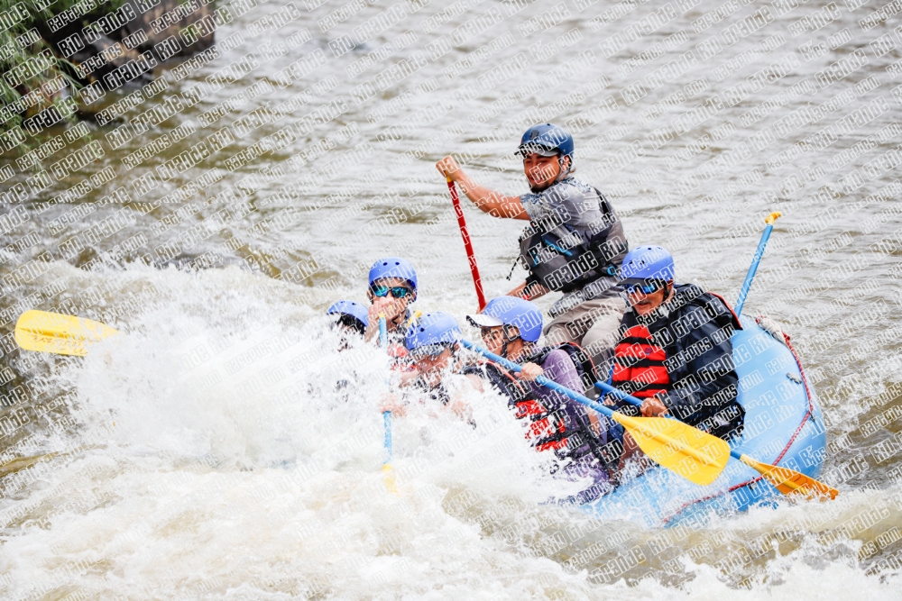 000233June-21_NEW-WAVE_RAFT-Pics_Racecourse-AM_TC__MG_0100