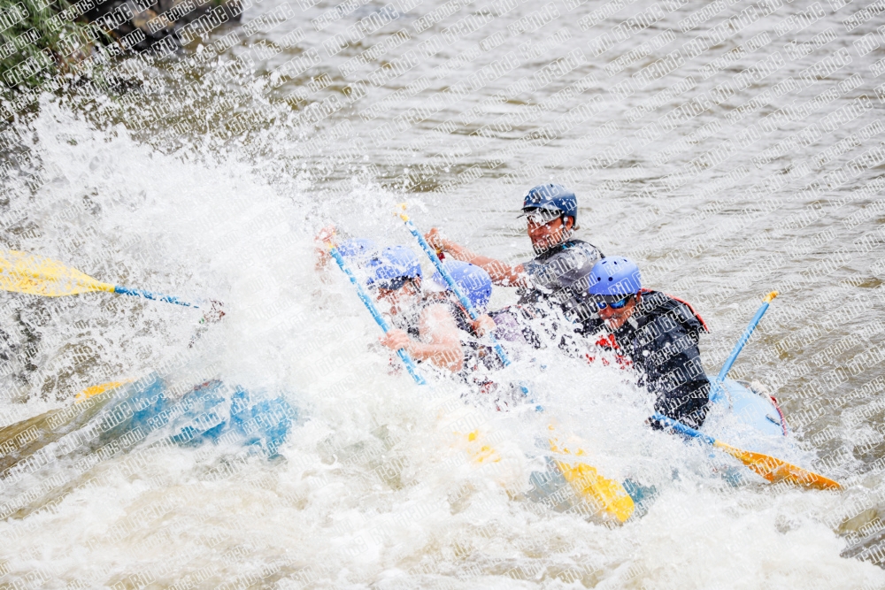 000234June-21_NEW-WAVE_RAFT-Pics_Racecourse-AM_TC__MG_0101