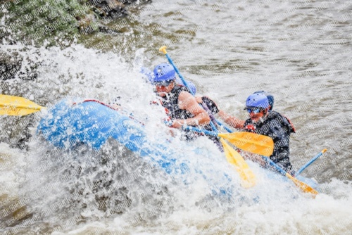 000235June-21_NEW-WAVE_RAFT-Pics_Racecourse-AM_TC__MG_0102