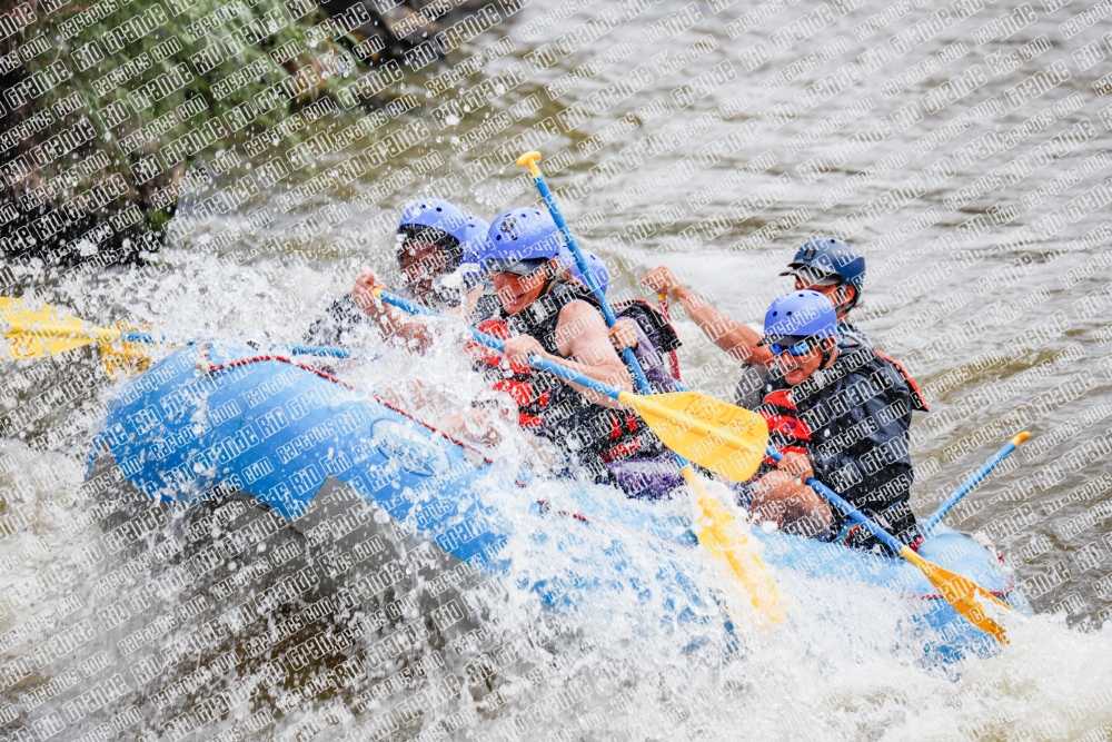 000236June-21_NEW-WAVE_RAFT-Pics_Racecourse-AM_TC__MG_0103