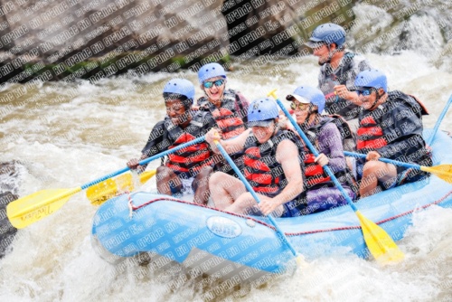 000240June-21_NEW-WAVE_RAFT-Pics_Racecourse-AM_TC__MG_0107