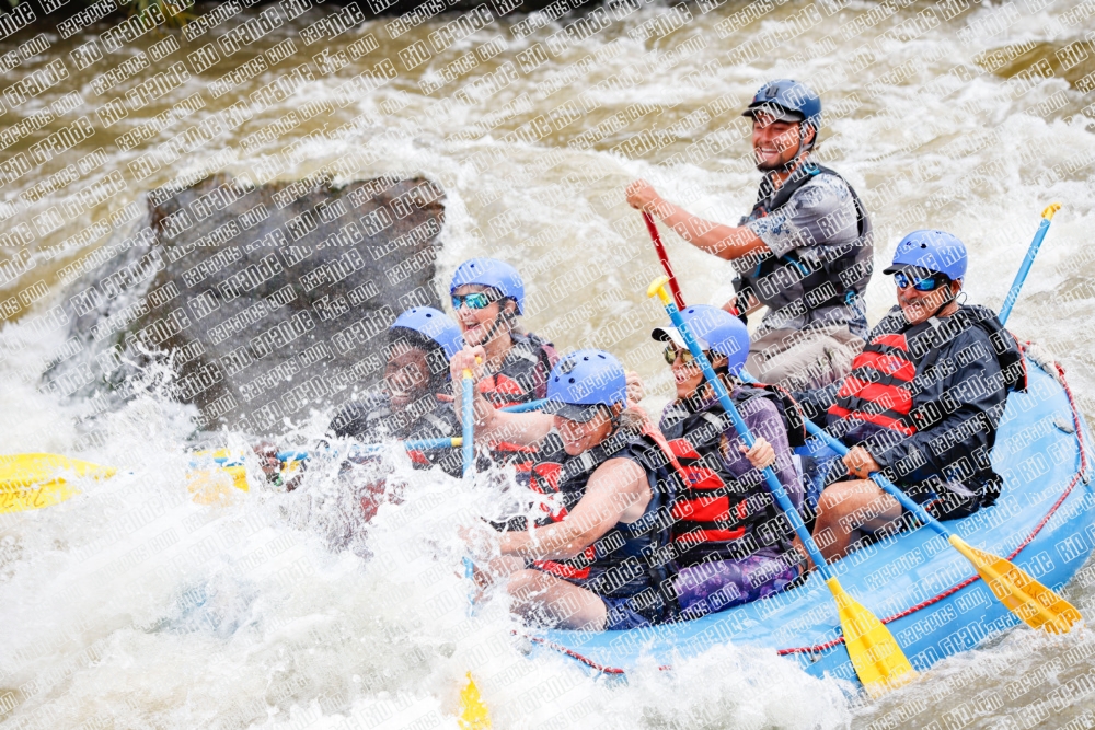 000241June-21_NEW-WAVE_RAFT-Pics_Racecourse-AM_TC__MG_0108